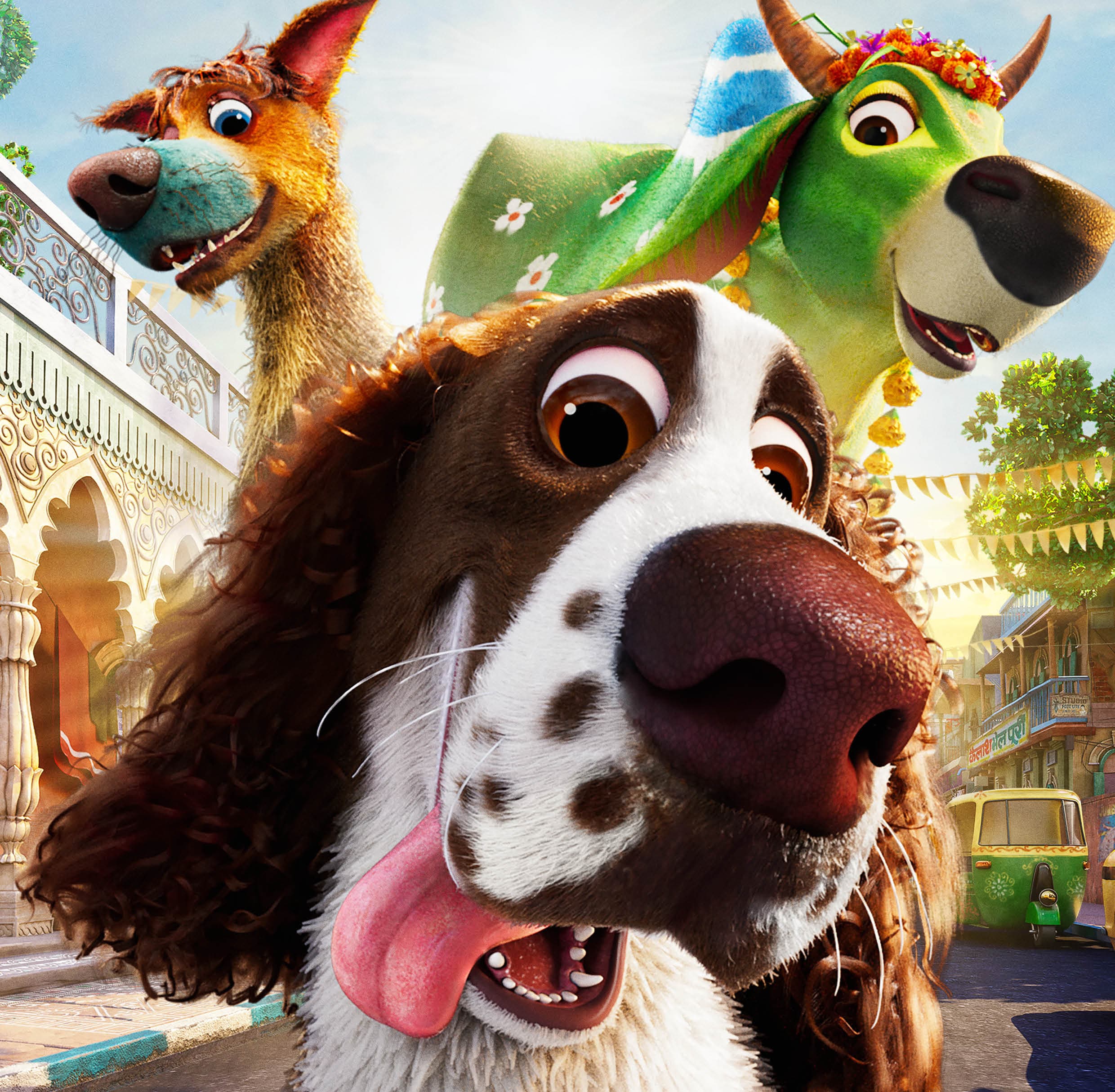 Section feature new image - 0